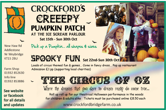 crockford Creepy pumpkin patch